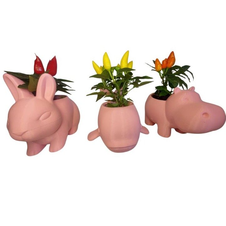 Trio Fofura Pimentas