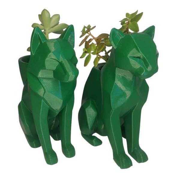 Dupla Caçadora Suculenta