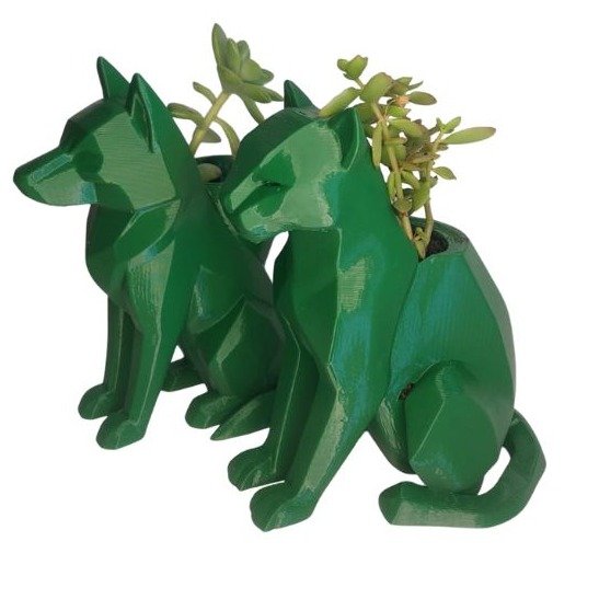 Dupla Caçadora Suculenta