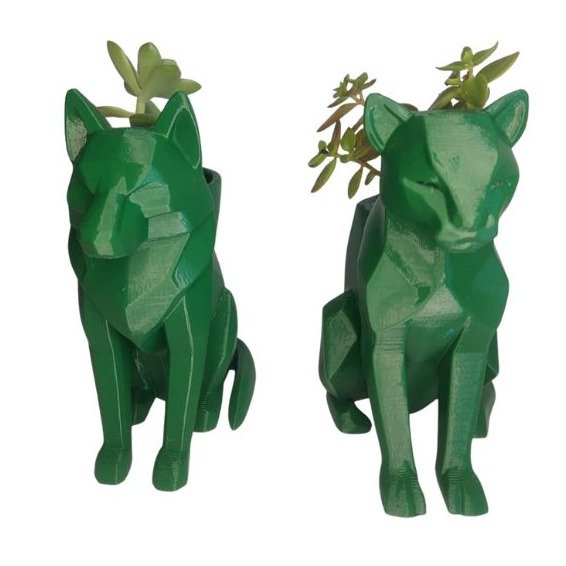 Dupla Caçadora Suculenta