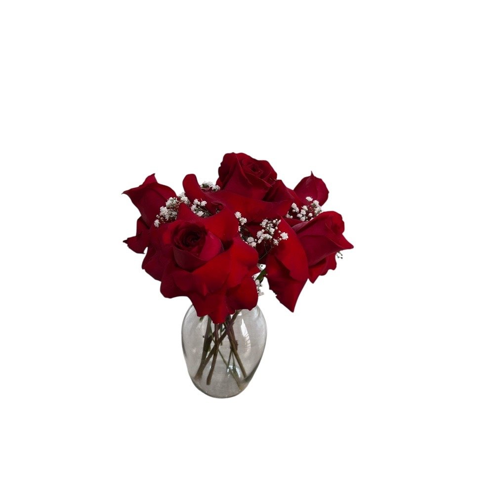 Rosas Vermelha no Vidro 