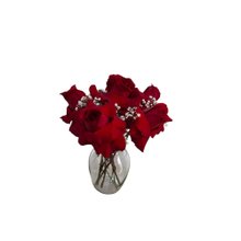 Rosas Vermelha no Vidro 