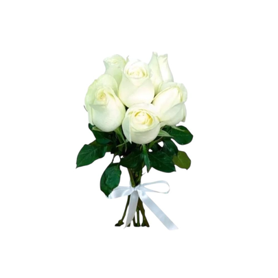 6 Rosas Brancas