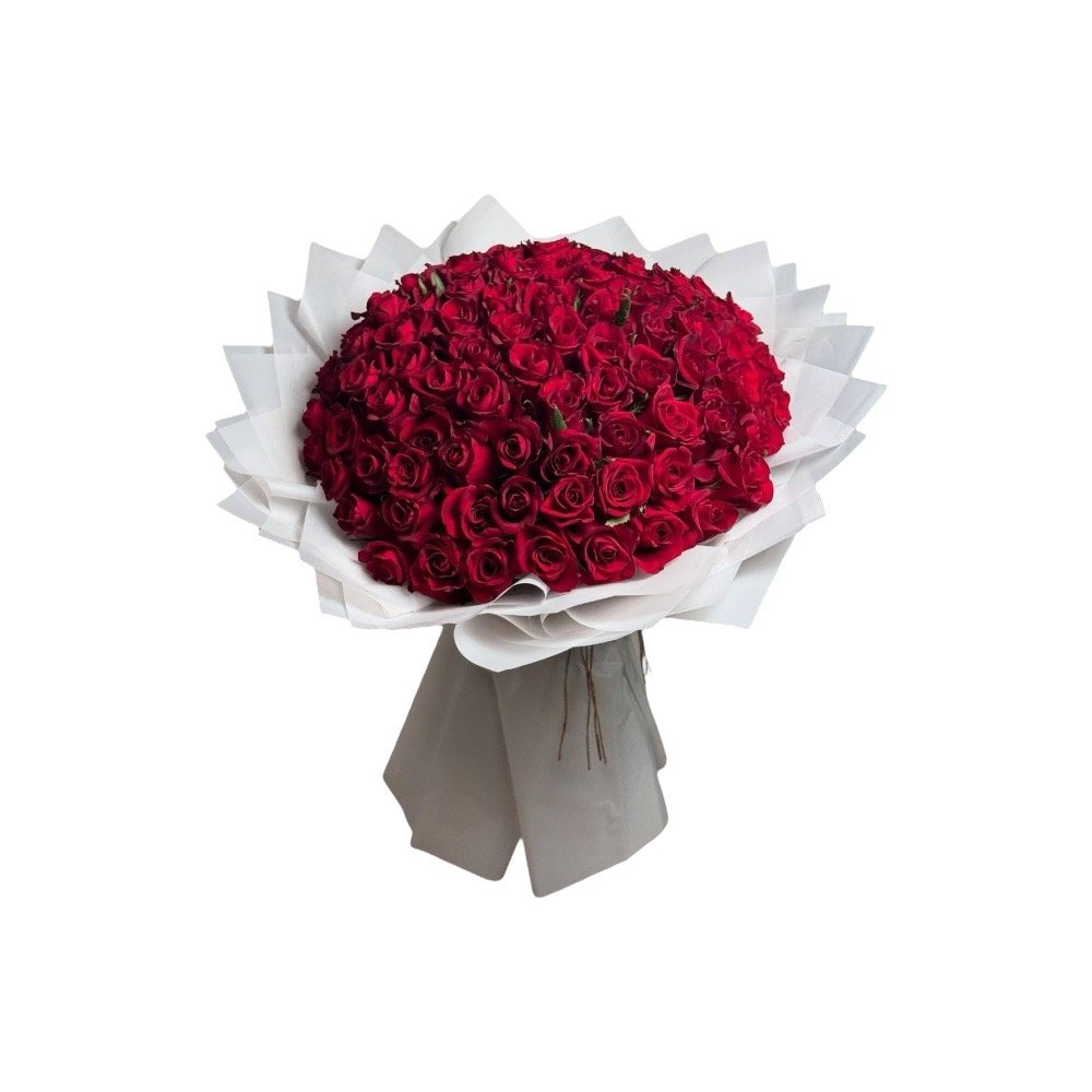100 Rosas Vermelhas Encanto 