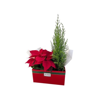 Mini Pinheirinho de Natal com Flor