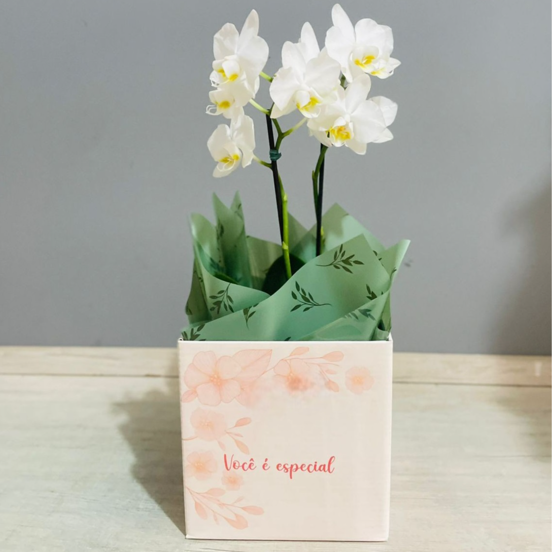 Belíssima Mini Orquídea Branca 