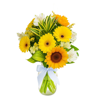 Sol da Tarde no Vaso