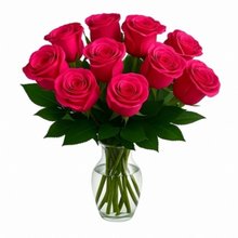 Doze Rosas Pink no Vaso