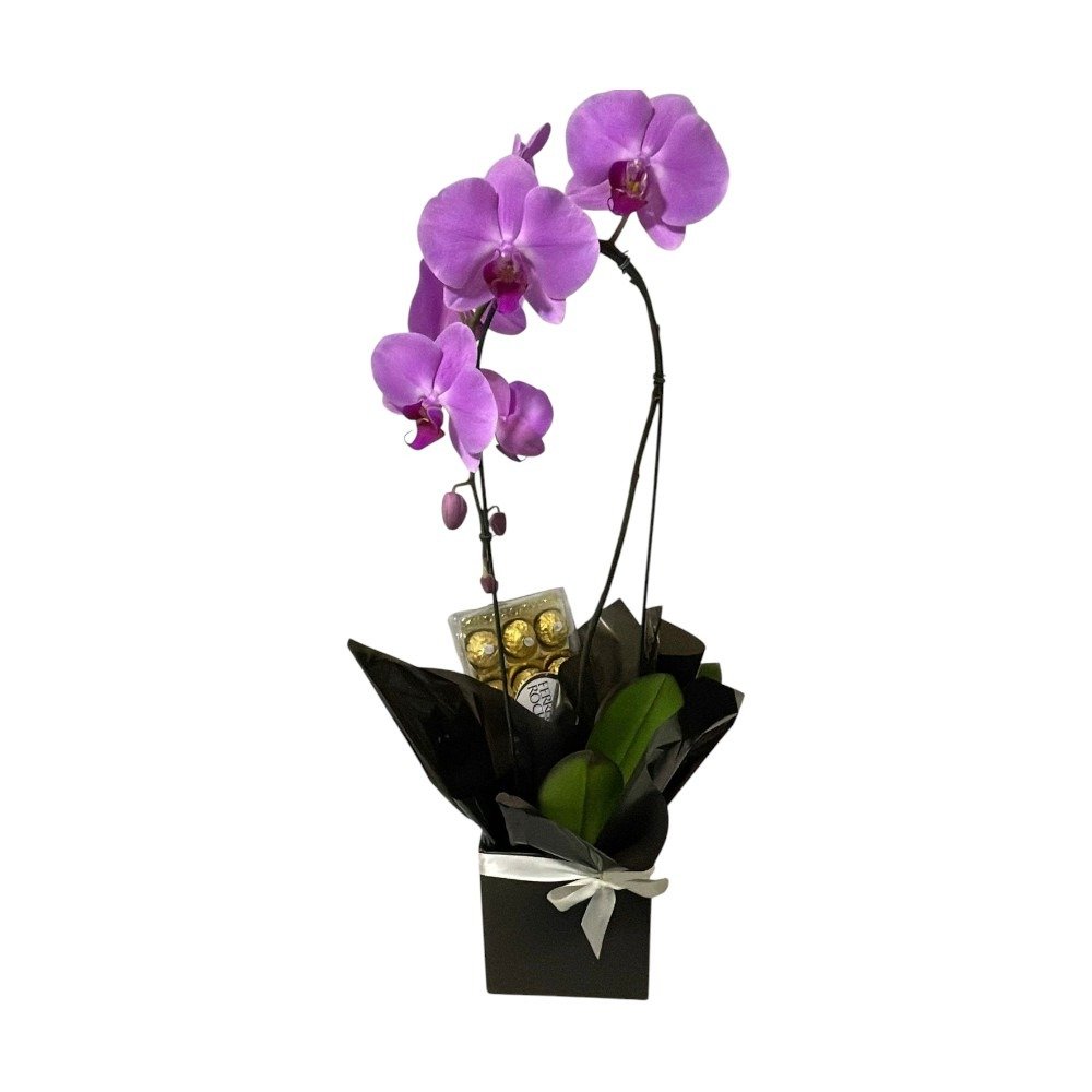Orquídea Pink com Ferrero Rocher 150g