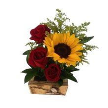 Arranjo Trio de Rosas com Girassól