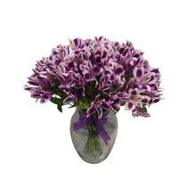 Astromélias Lilás no Vaso