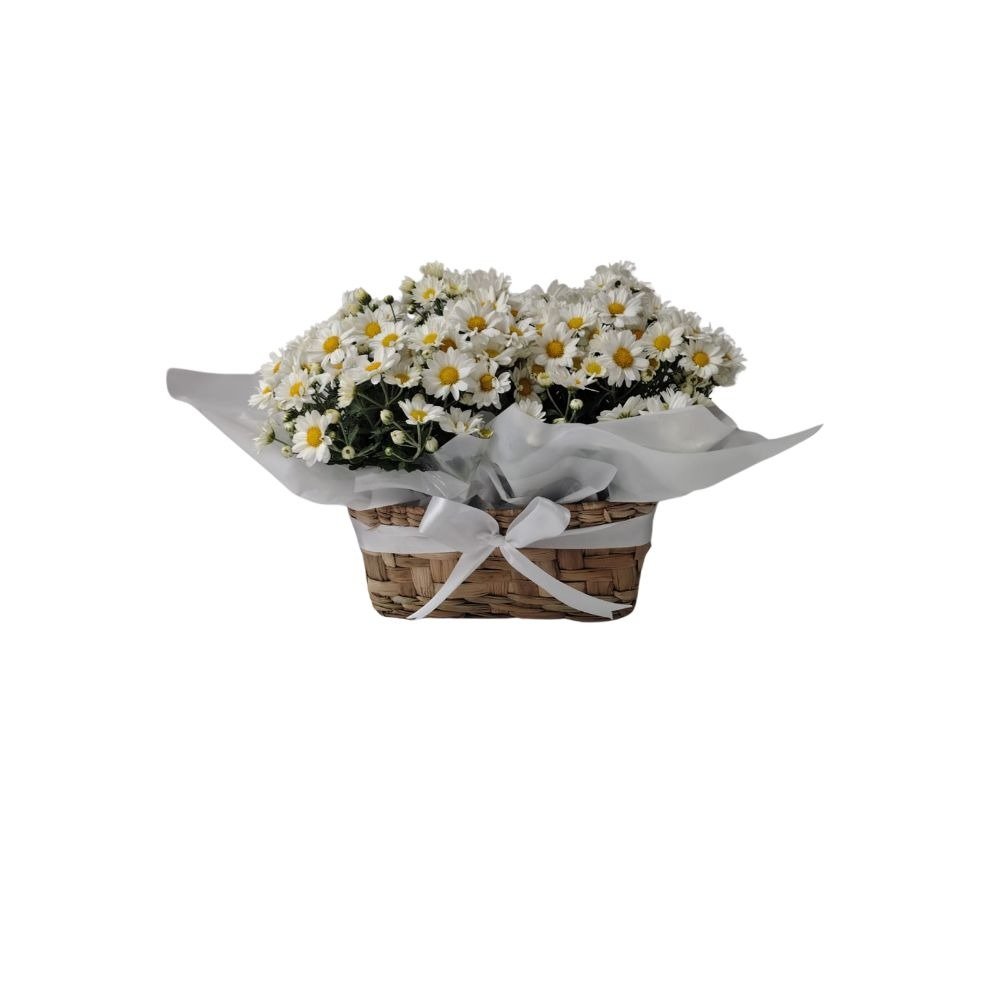 Margaridas no Cachepot de Palha