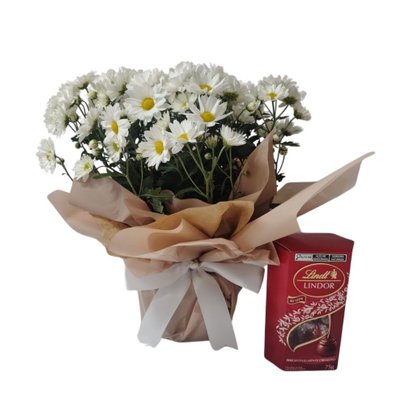 Margarida com Lindt