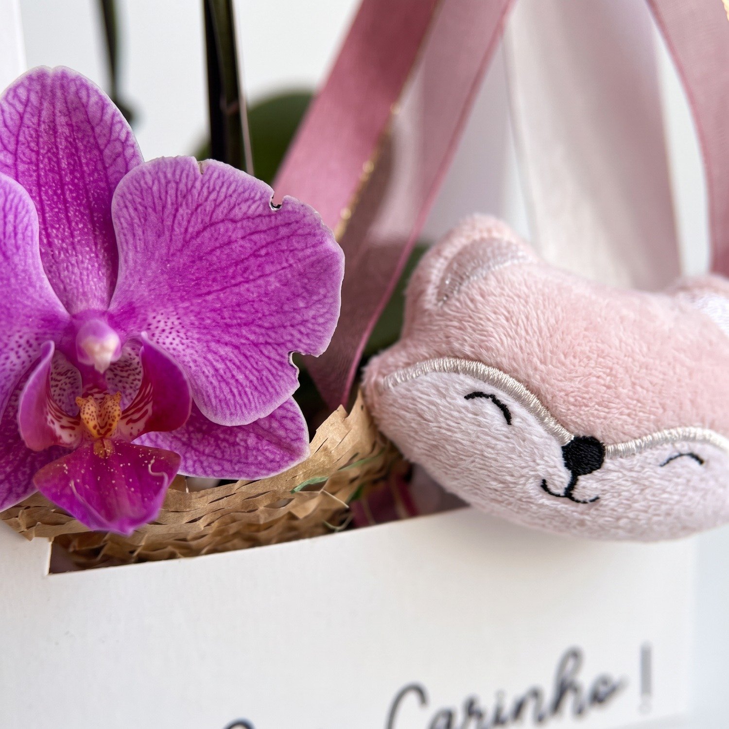 Orquídea com Naninha