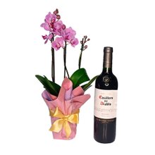 Kit Elegância - Orquídea Phalaenopsis e Vinho Casiller