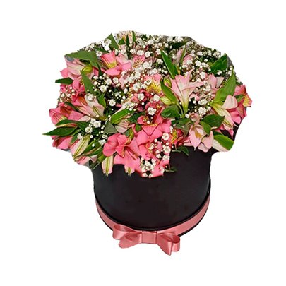Caixa Luxo com Astromélias Rosas e Mosquitinho