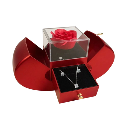 Gift Box Maçã Encantada Conjunto de Prata e Zircônia