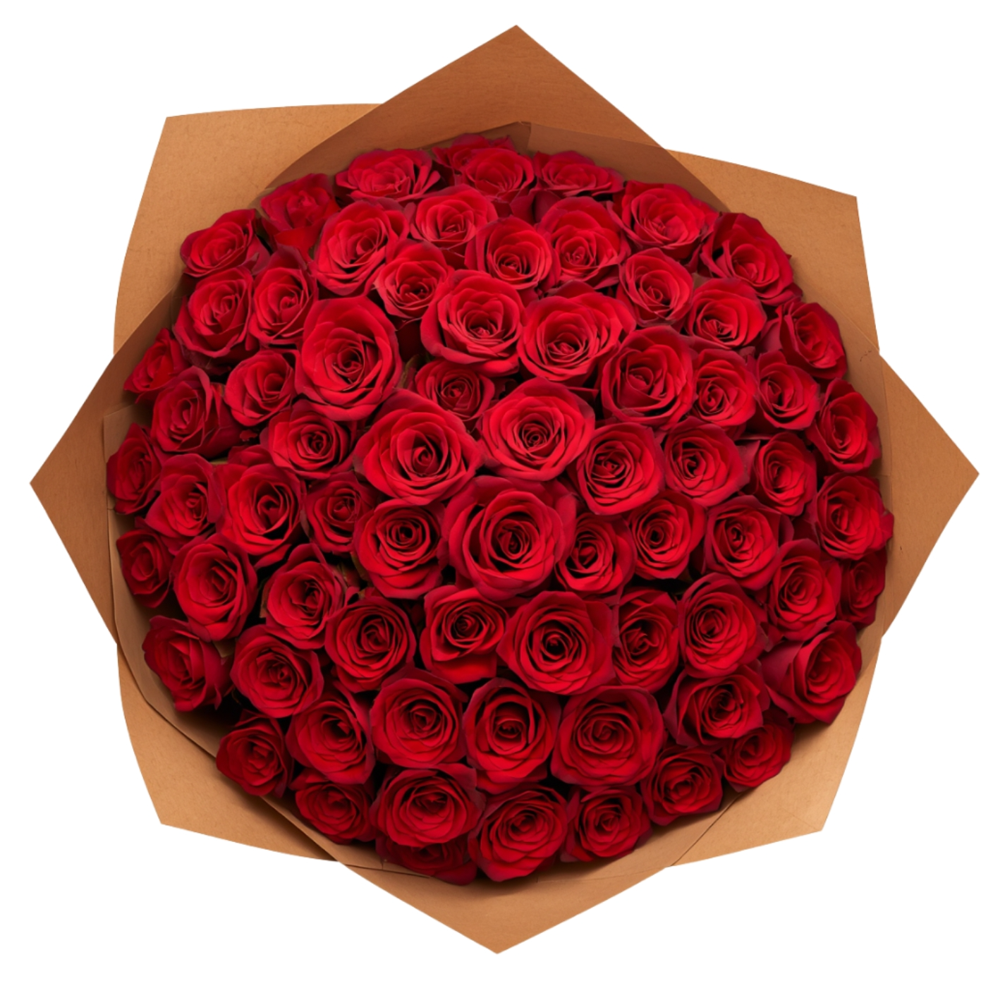 Buquê de 100 Rosas importadas Colombianas Freedom 