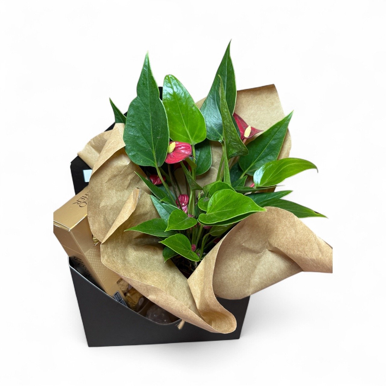 Caixa Presente Mini Antúrio Luxo e Ferrero Rocher