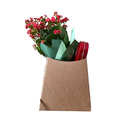 Presente com Kalanchoe Vermelha e Lindt