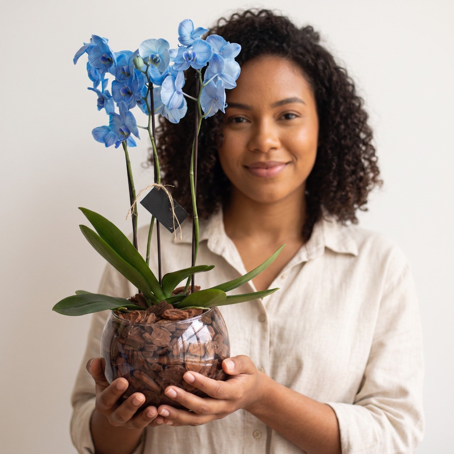 Orquídea Azul no Aquário