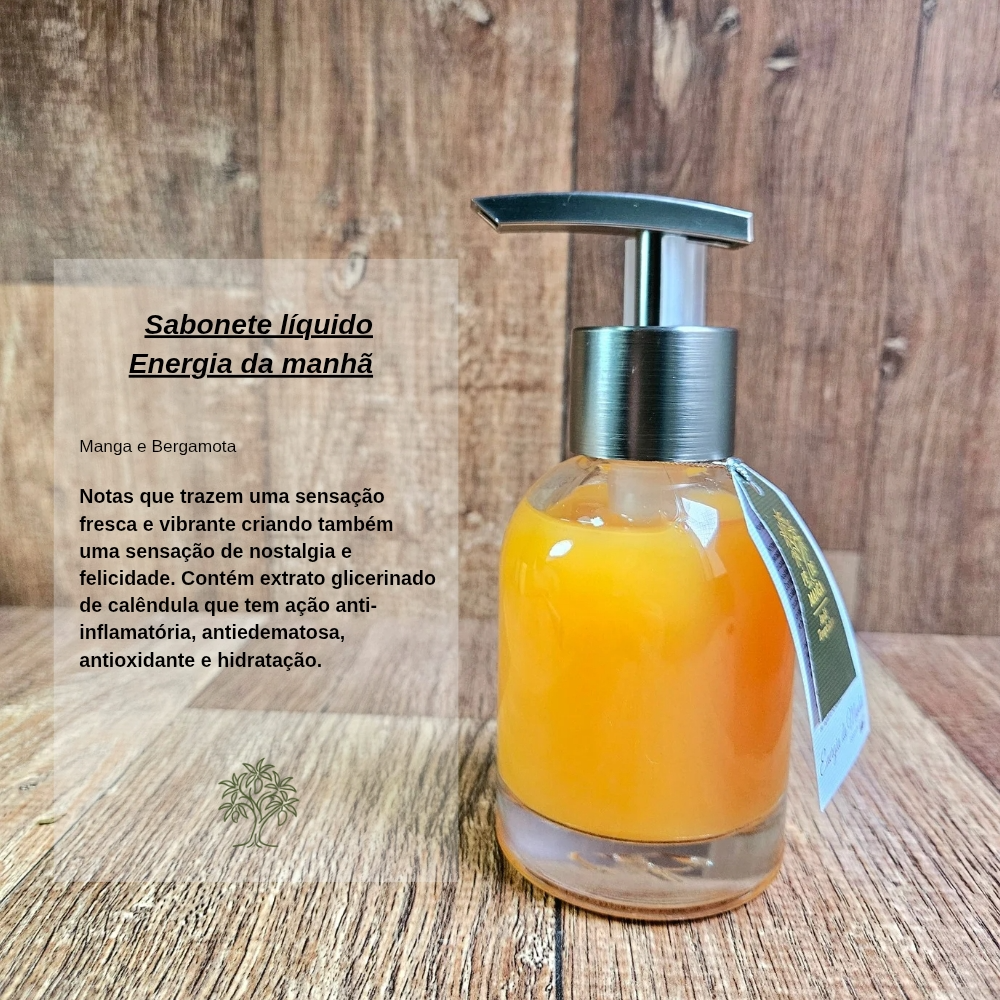 Cesta Sabonete Artesanal Líquido e Barra