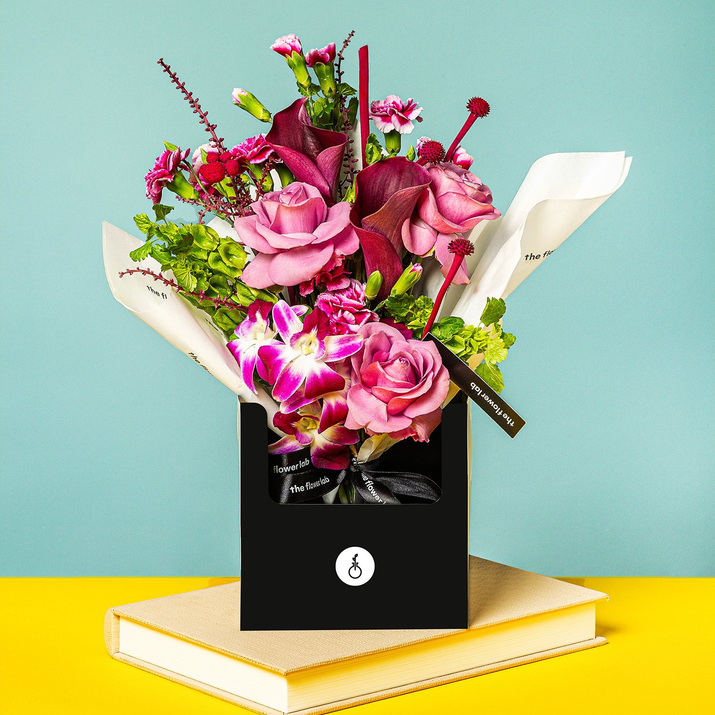 Flores Variadas e Paper Box Bloom, Baby, Bloom