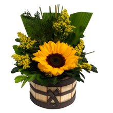 Arranjo Solitário de Girassol no Cachepot