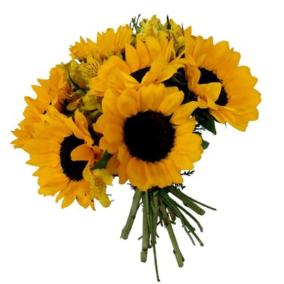 Belíssimo Buquê de 6 Girassóis