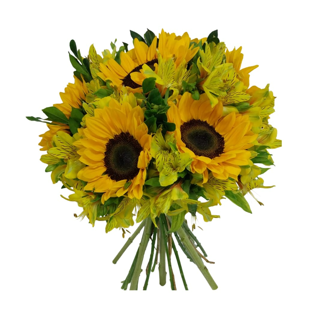 Belíssimo Buquê de 6 Girassóis