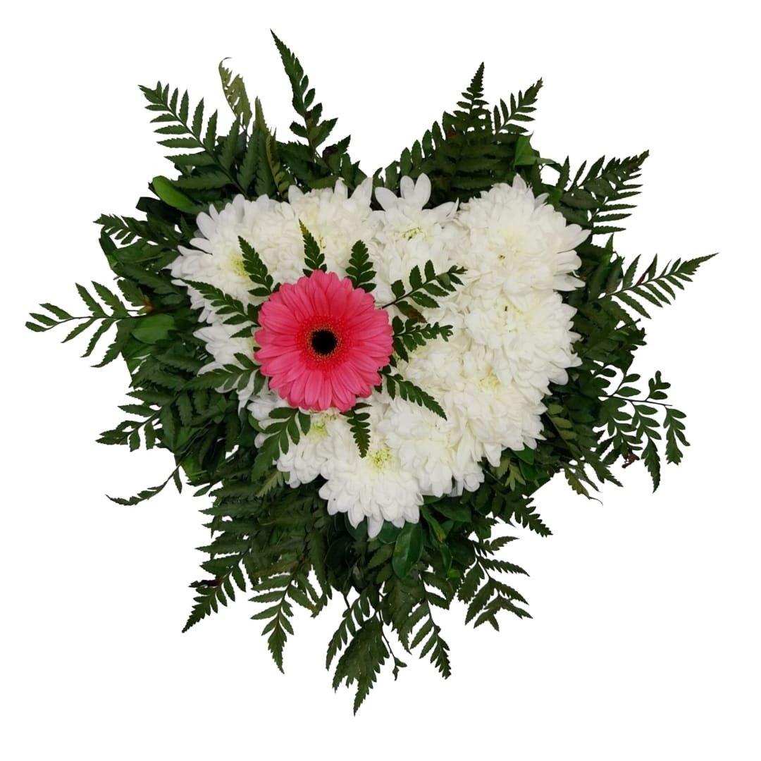 Arranjo de Coração: Crisântemo e Gérbera
