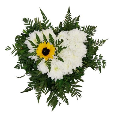Arranjo de Coração: Crisântemo e girassol