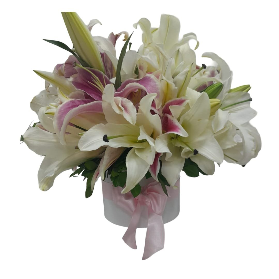 Linha Super Luxo Box com 40 Lírios