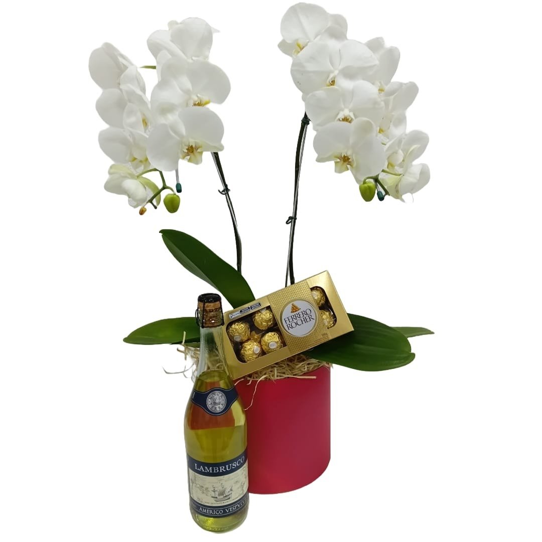 Kit de Orquidea, Espumante e Ferrero Rocher