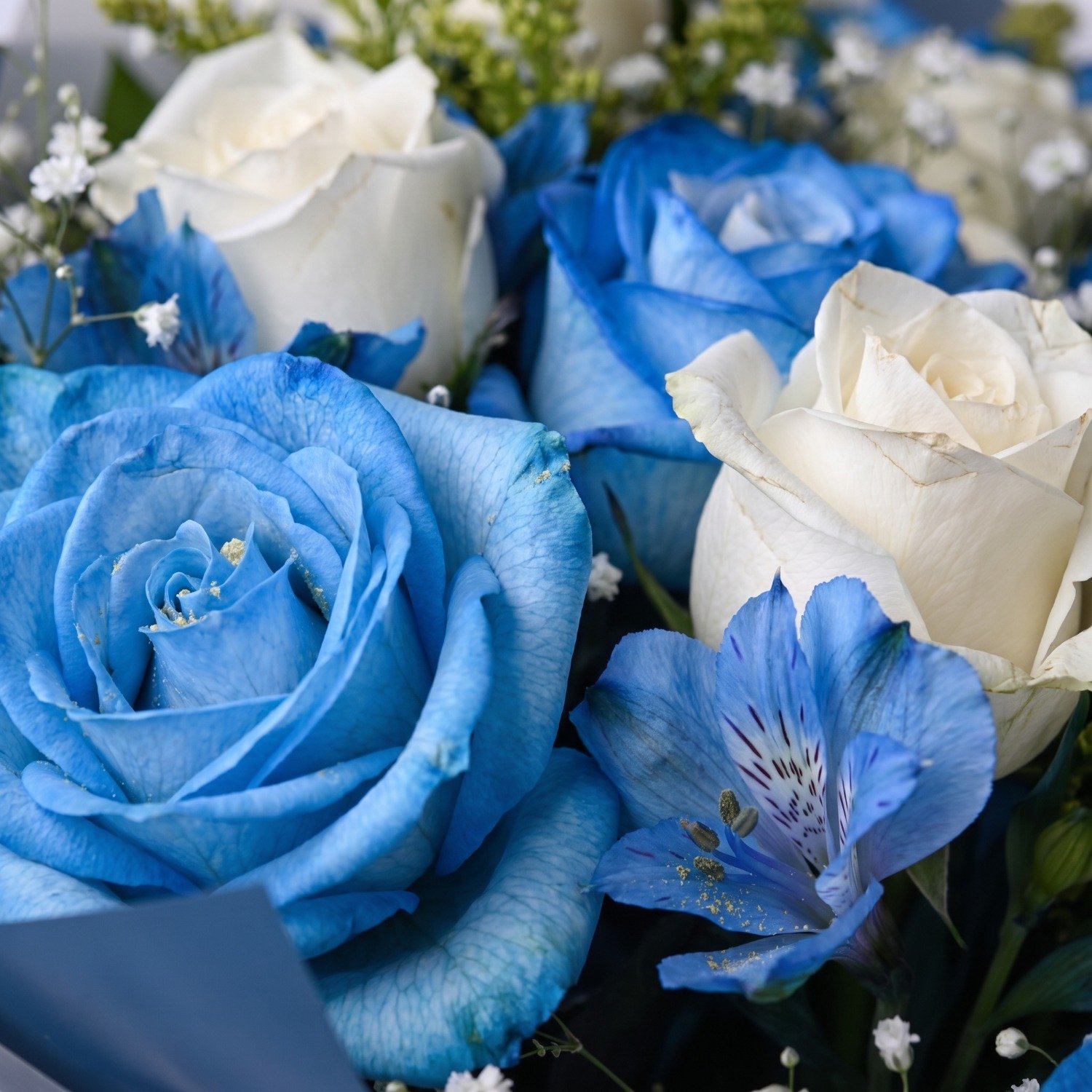 Buque Blue Roses