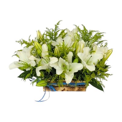 Cesta de Lírios Brancos