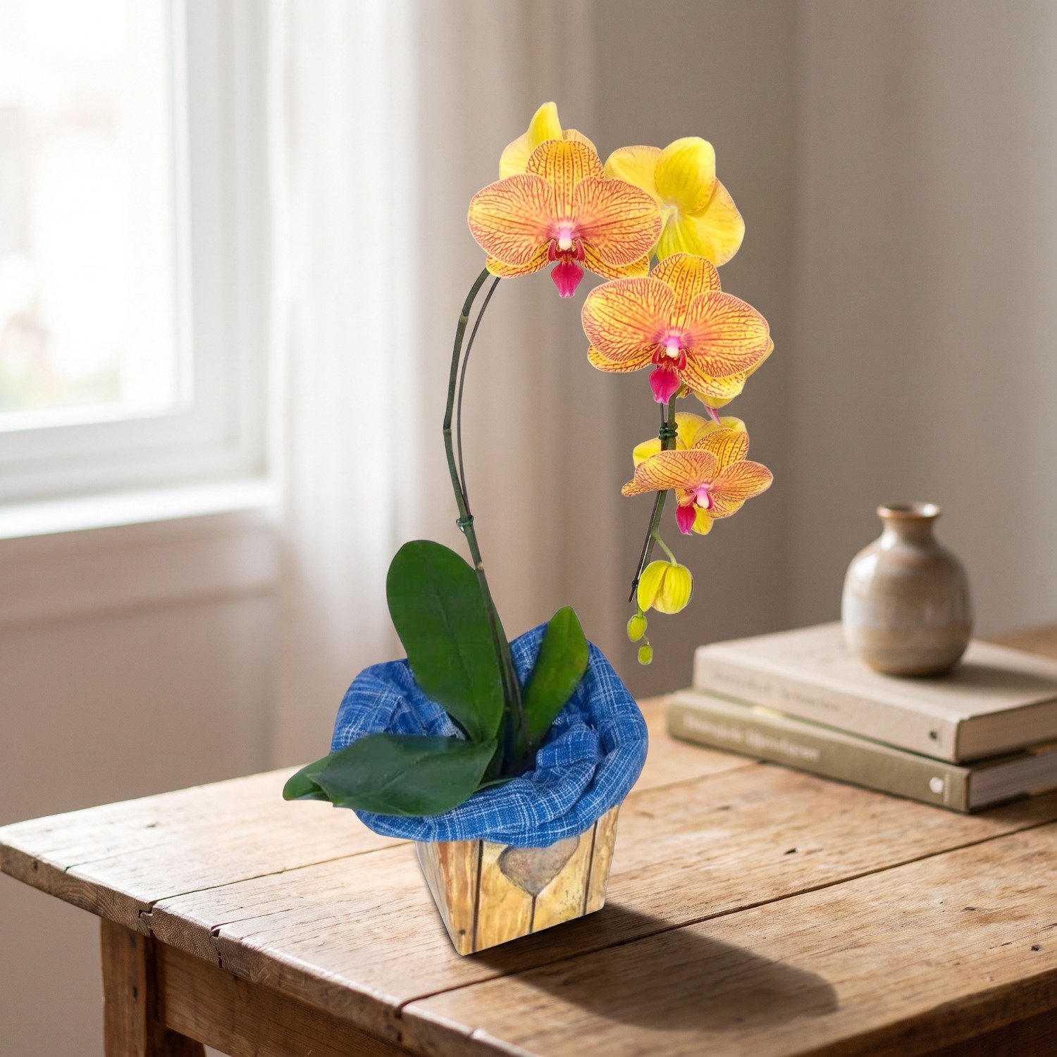 Orquídea Phalaenopsis Laranja 1 Haste