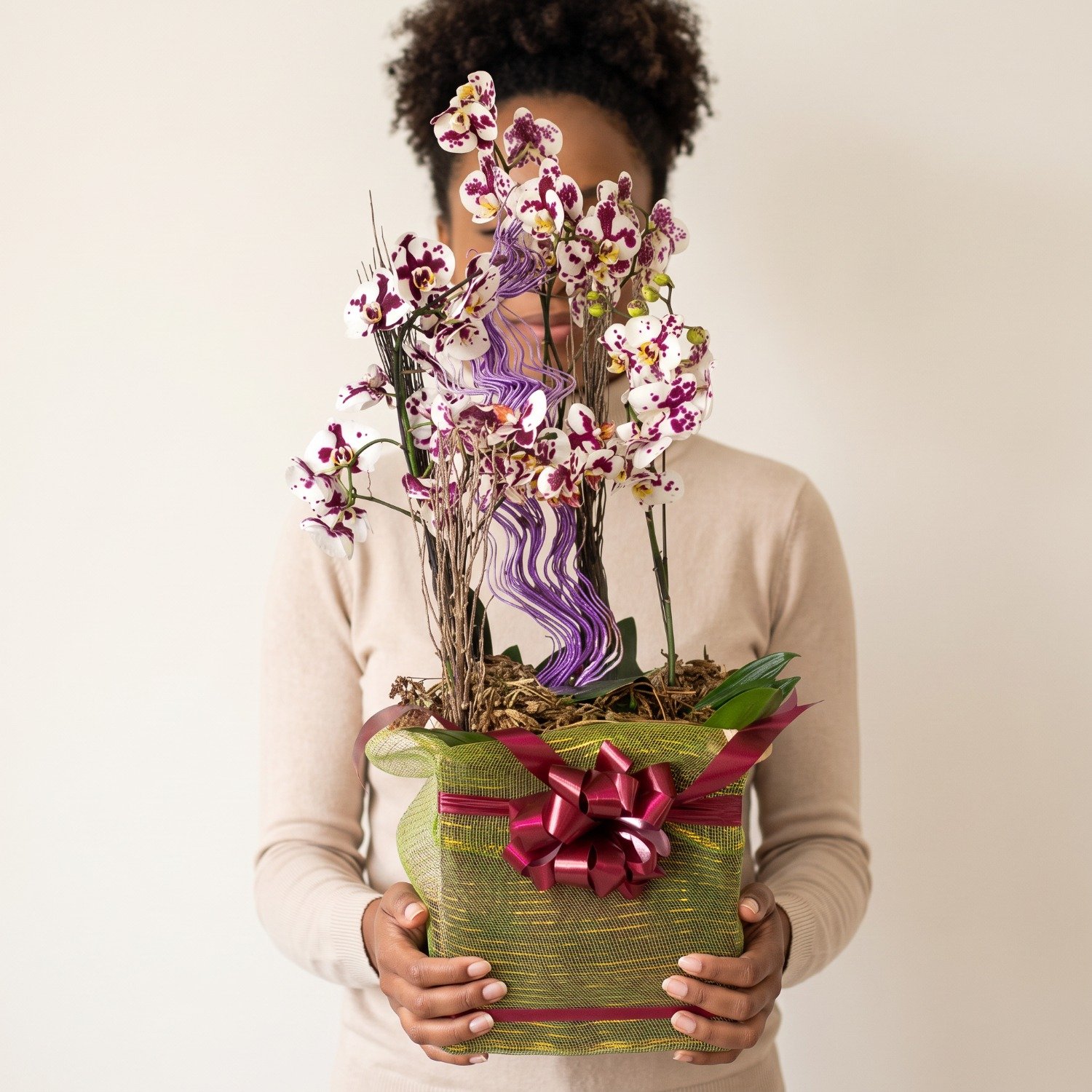 Cesta de Orquídeas Sofisticação 