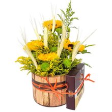 Cachepô Girassol e Chocolates 