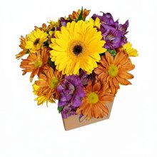 Arranjo Flores do Campo Harmonia Floral