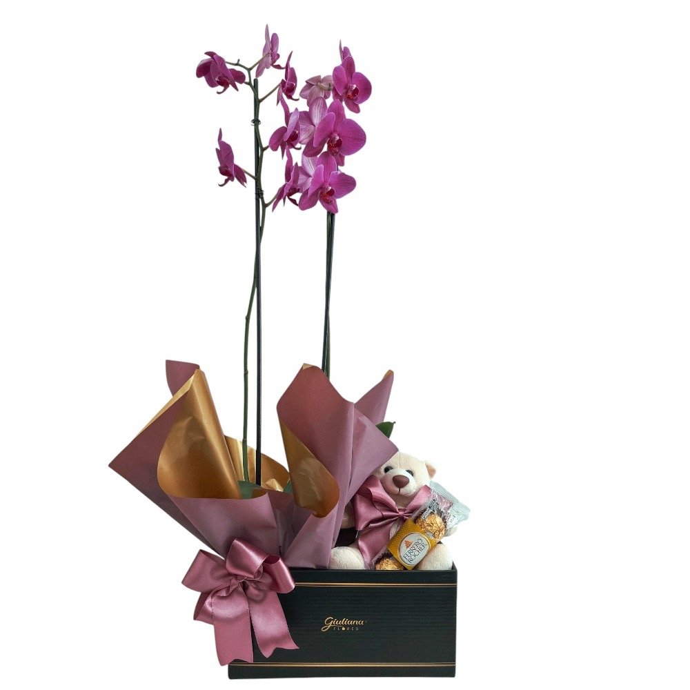 Caixa Giuliana Flores Orquídea e Pelúcia 