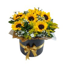 Elegante Caixa De Girassóis