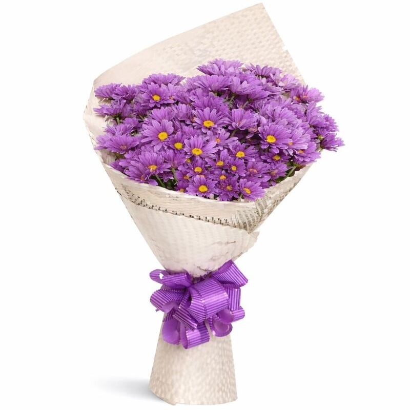 Buquê de Margaridas Roxas