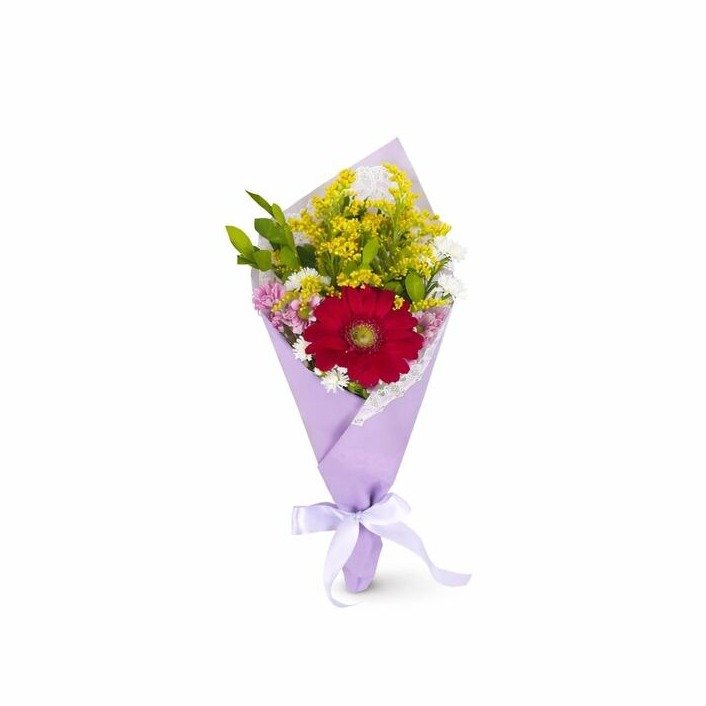 Ramalhete Delicado de Gérbera