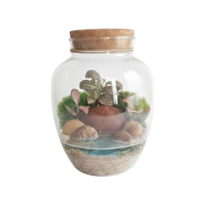 Terrário Jardim Encantado