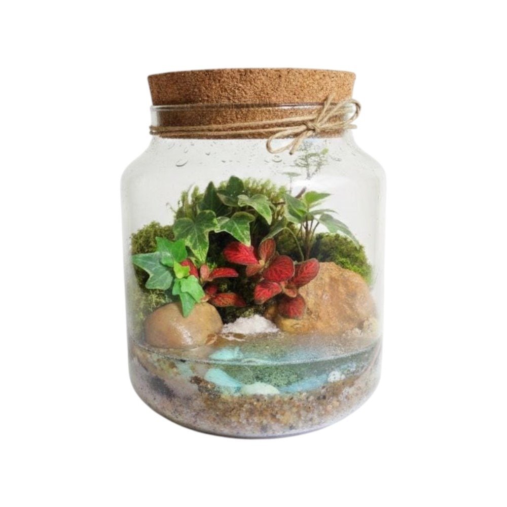 Terrário Amor de Mãe