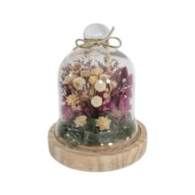 Herbário Cúpula Arranjo Afeto