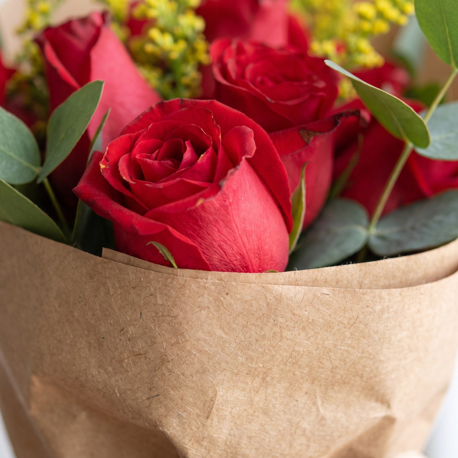 Buquê com Lindas 10 Rosas Vermelhas