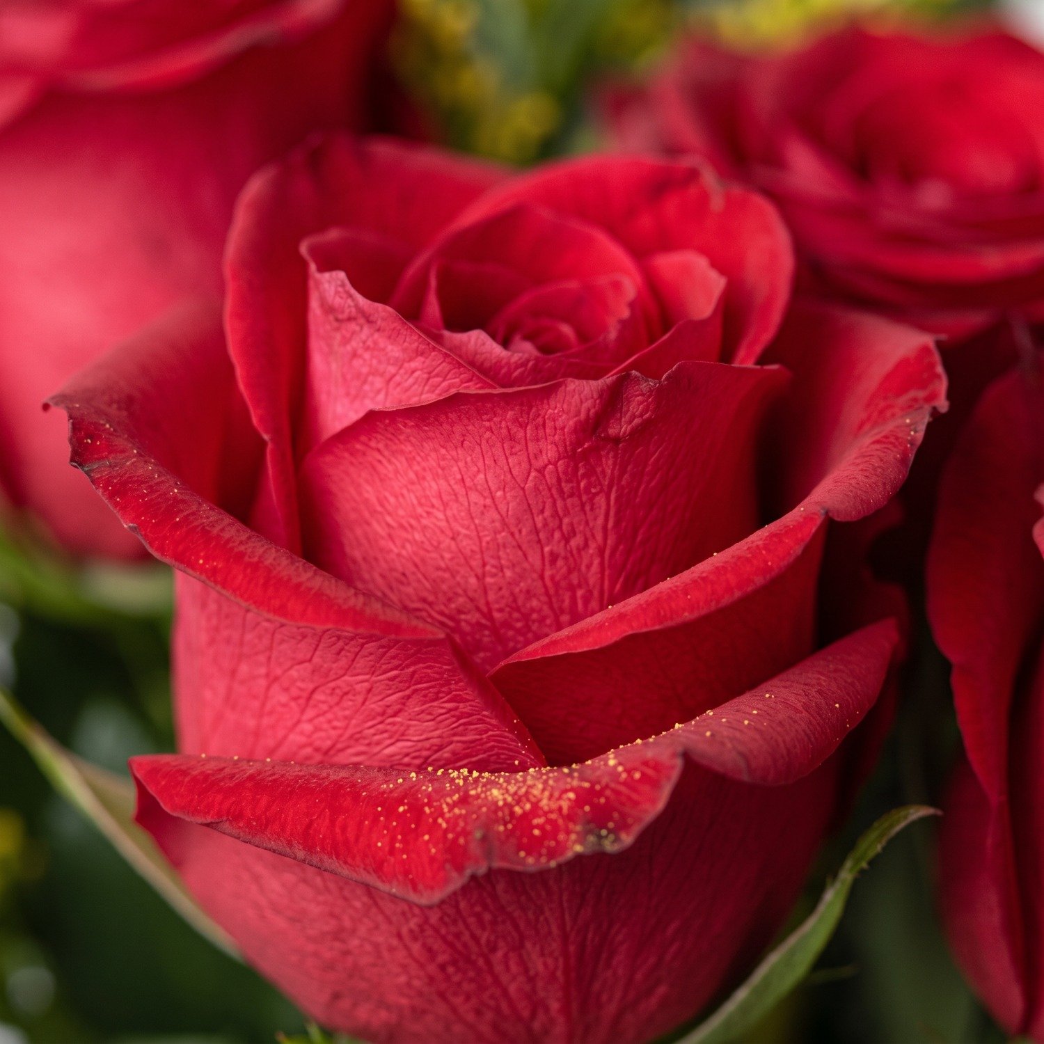 Buquê Alegria com 03 Rosas