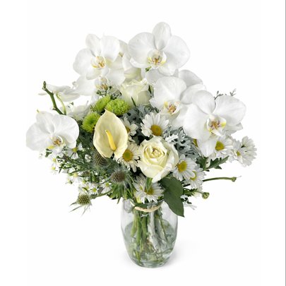 Arranjo Essência de Luz